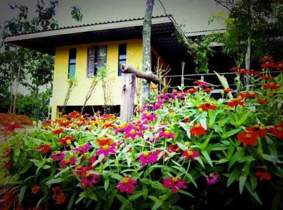Wangnamkeaw In Love Wang Nam Khiao Bagian luar foto